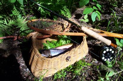This remote Adirondack wilderness area is full of native fish.