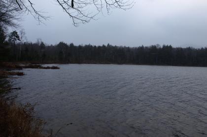 A pond on a dark day