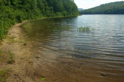 Gilman Lake has plenty of weeds and lilies for the best bass fishing.