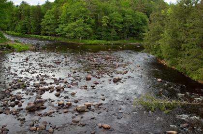The view of a shallow