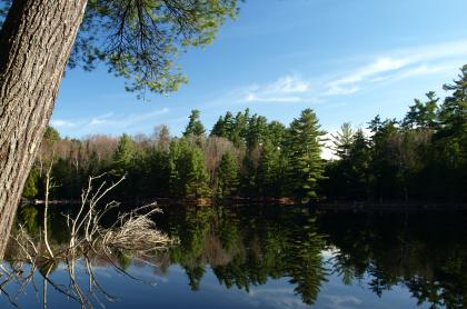 Enjoy the fishing and paddling at Eagle Lake.