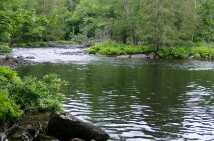 Fishing Brook varies