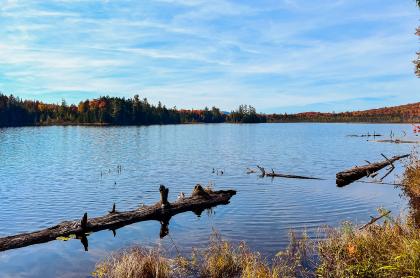 Mud Pond