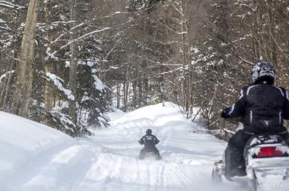 Enjoy deep forest trails near Piseco Lake.
