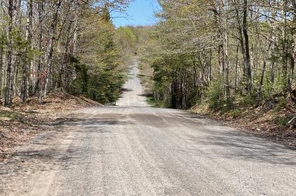 An open gravel trail on a spring day.
