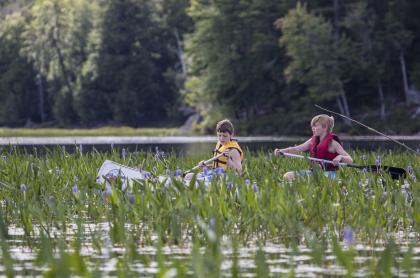 Two kids paddling amongst aquatic vegetation