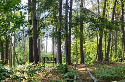 A nice trail at Hope Center Trails.
