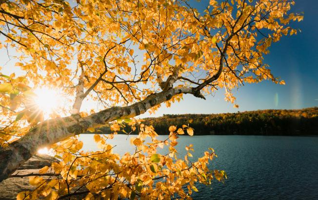 Fall scenery over the water.