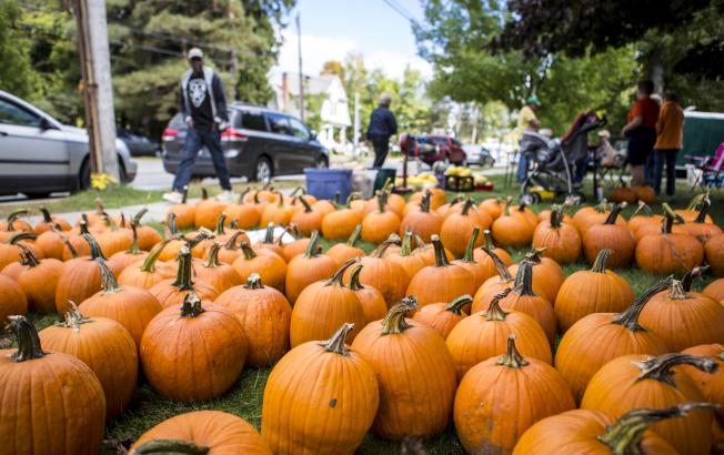 Dozens of pumpkins sit on the ground at a fall festival.