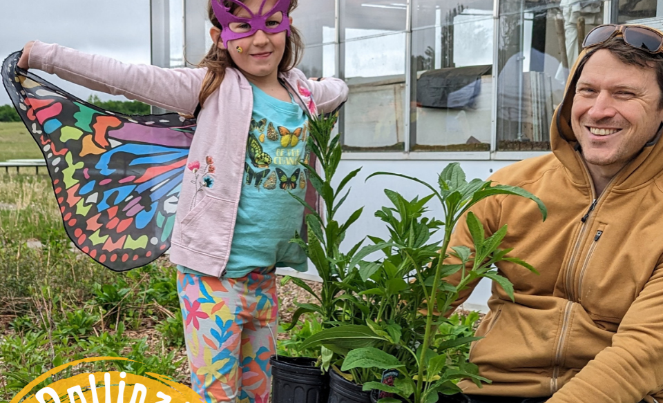 A little girl with butterfly wings on and a butterfly mask standing next to a mand holdong potted plants that are good for pollinators
