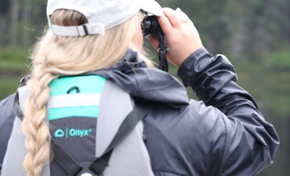 Photo of a woman observing loons through binoculars