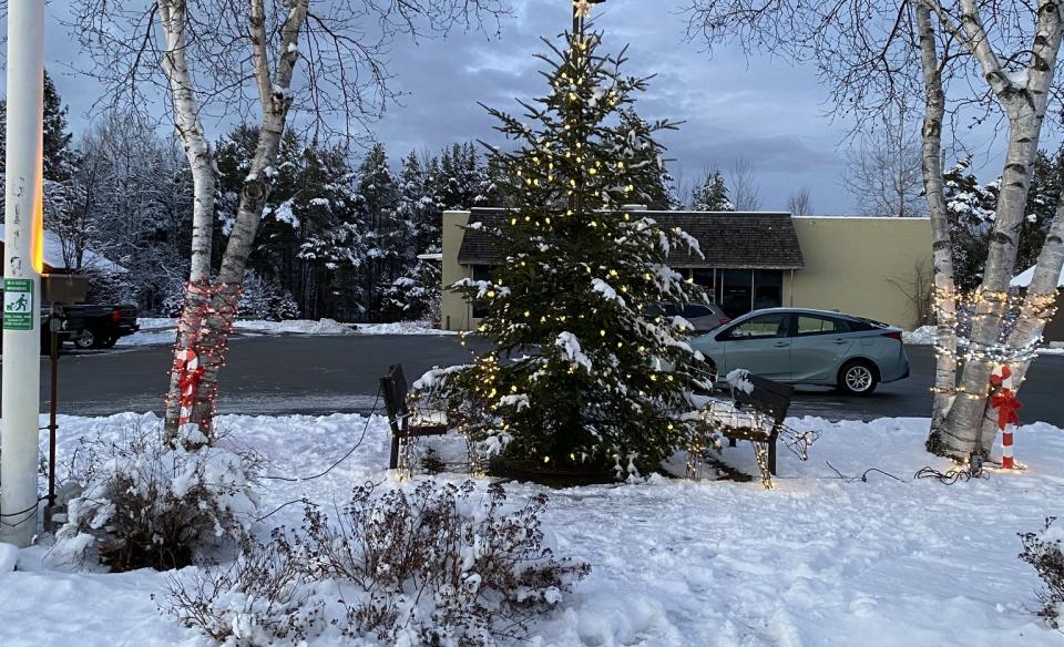 Indian lake Christmas tree outside with lights on it