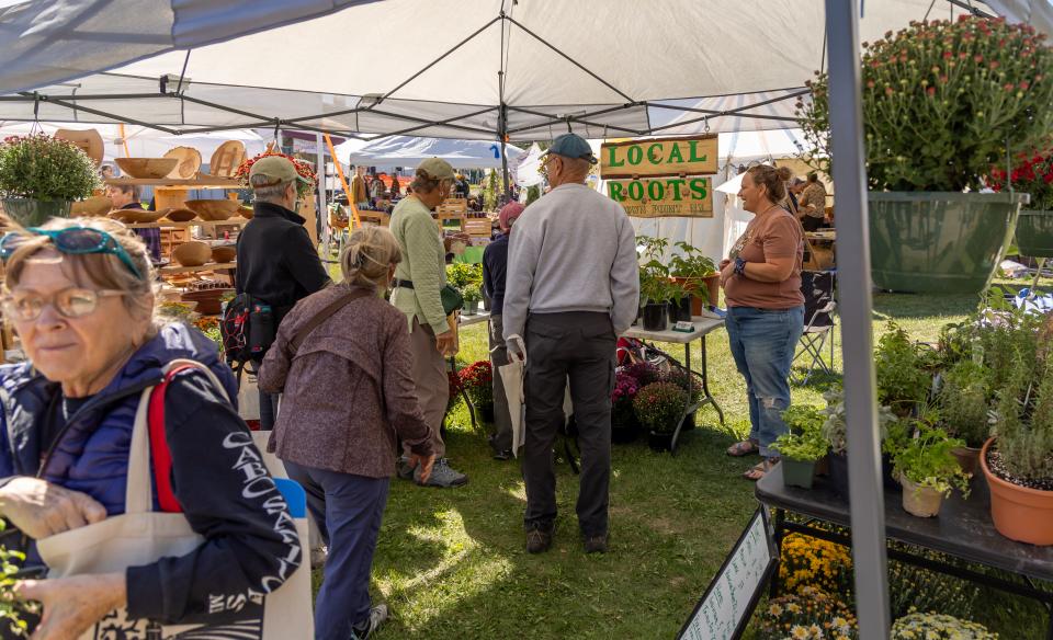 people shopping at vendors