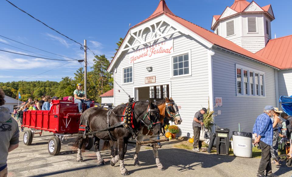 horse drawn carriage