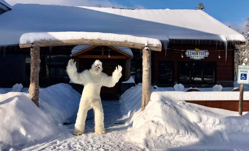 The yeti at the Lemon Tree Brewery entrance outside in the snow