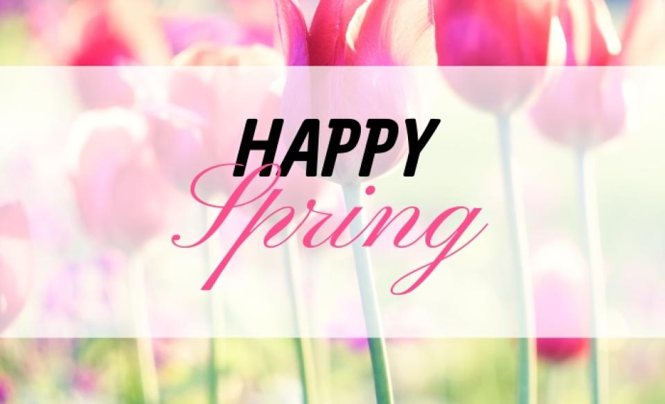 The words Happy Spring in front of a photo of pink tulips