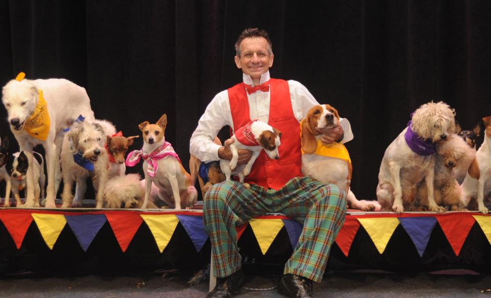 A photo of Jonny with his troupe of mutts