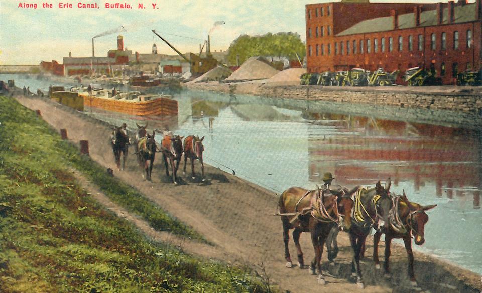 an old post card of the erie canal with donkeys pulling a barge.