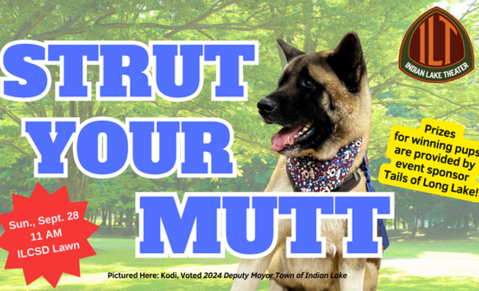 Strut your mutt