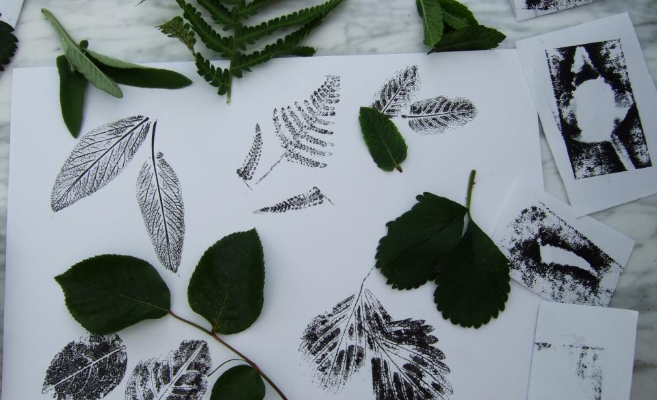 nature prints of leaves and ferns.