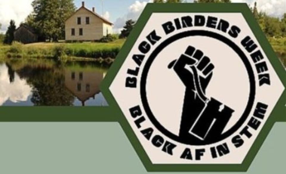 black birders week