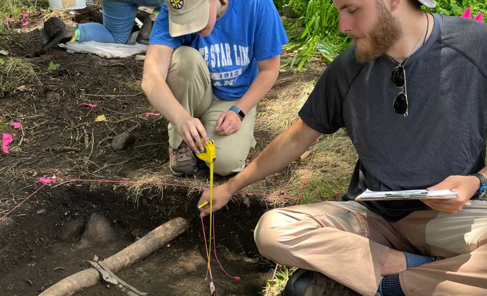 excavation