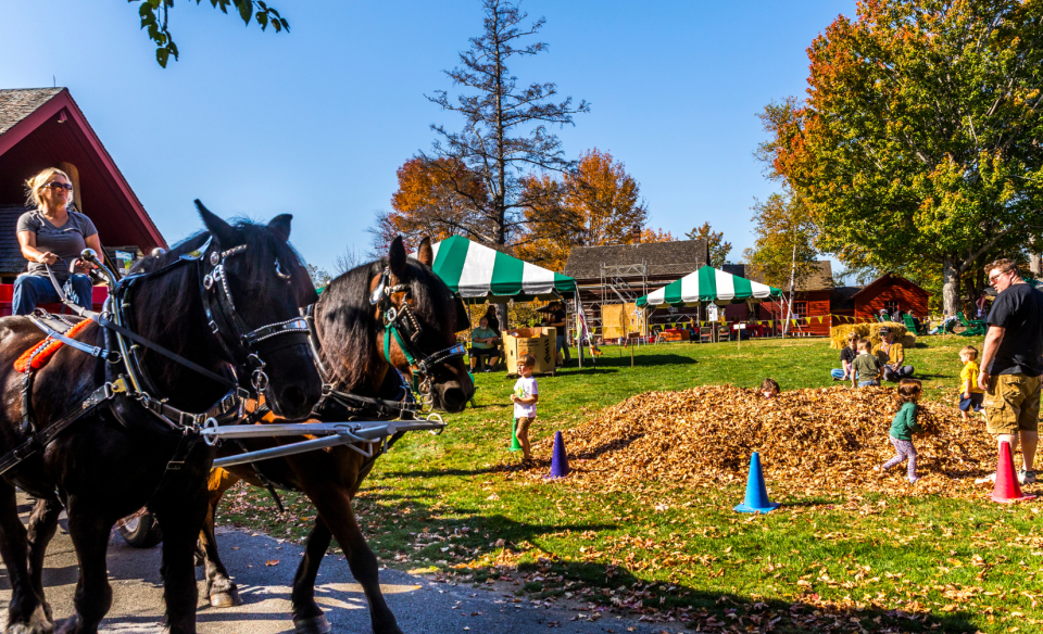 outdoor fall setting