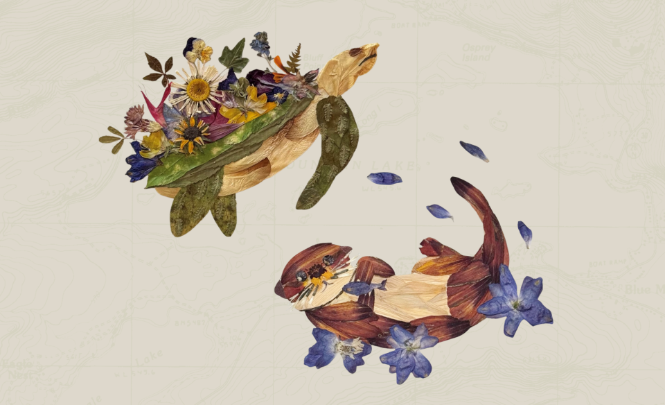 pressed flowers