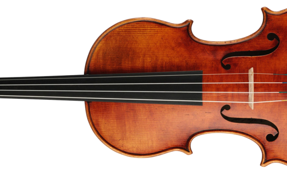 Violin