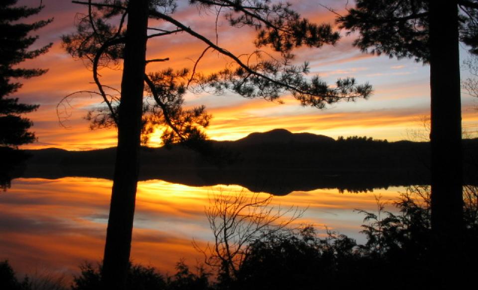 gorgeous warm sunset over the lake through the trees