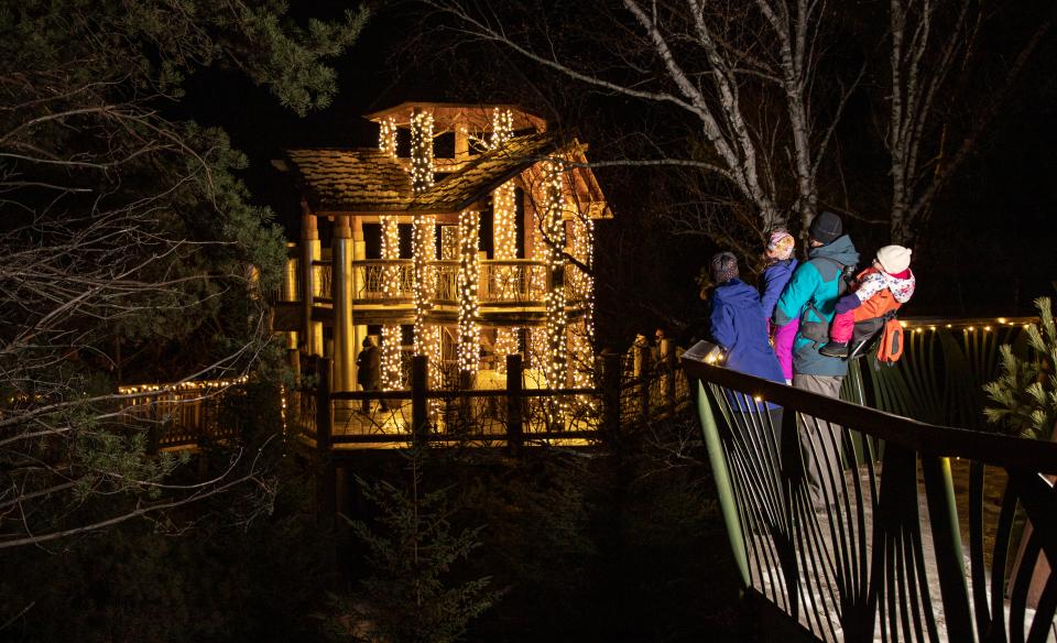 where people walk along the treetops of the Adirondack forest