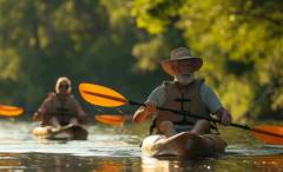 kayakers