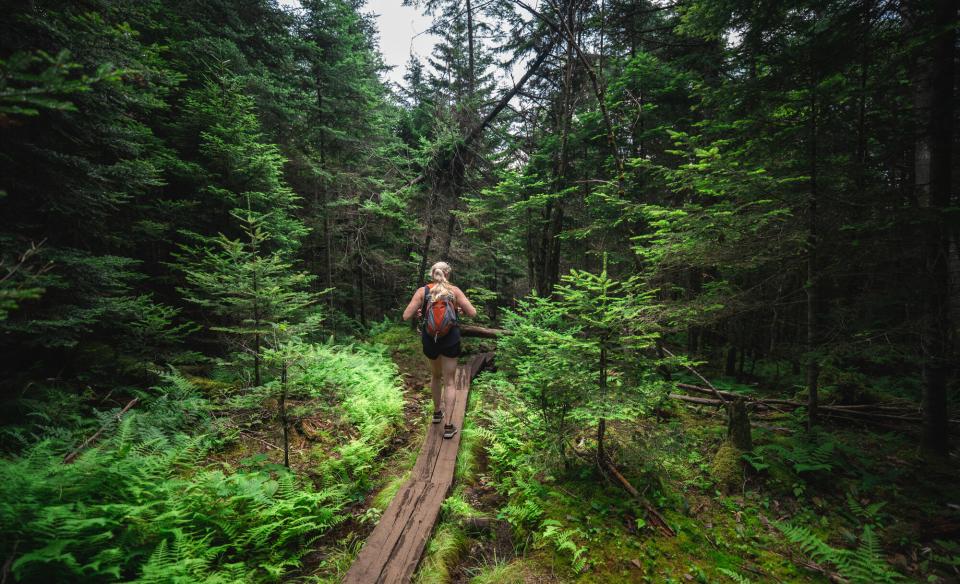 Hiker on a boardwalk