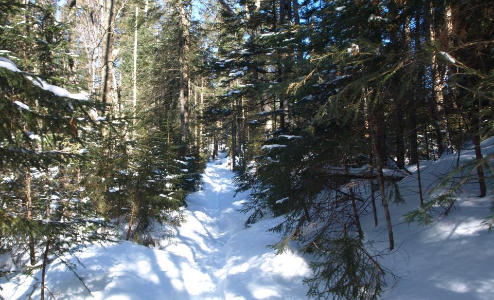 WIlson Pond is a fine trail in winter