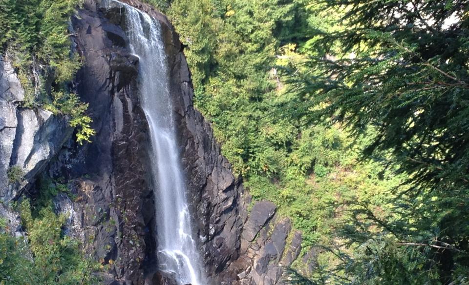 OK Slip Falls photo