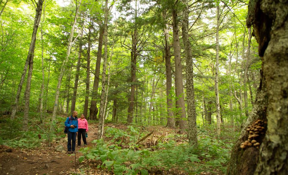 A couple hikes along the OK Slip Falls trail