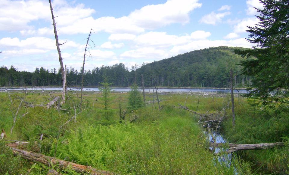 This middle of the Sargent Ponds is known for brook trout.