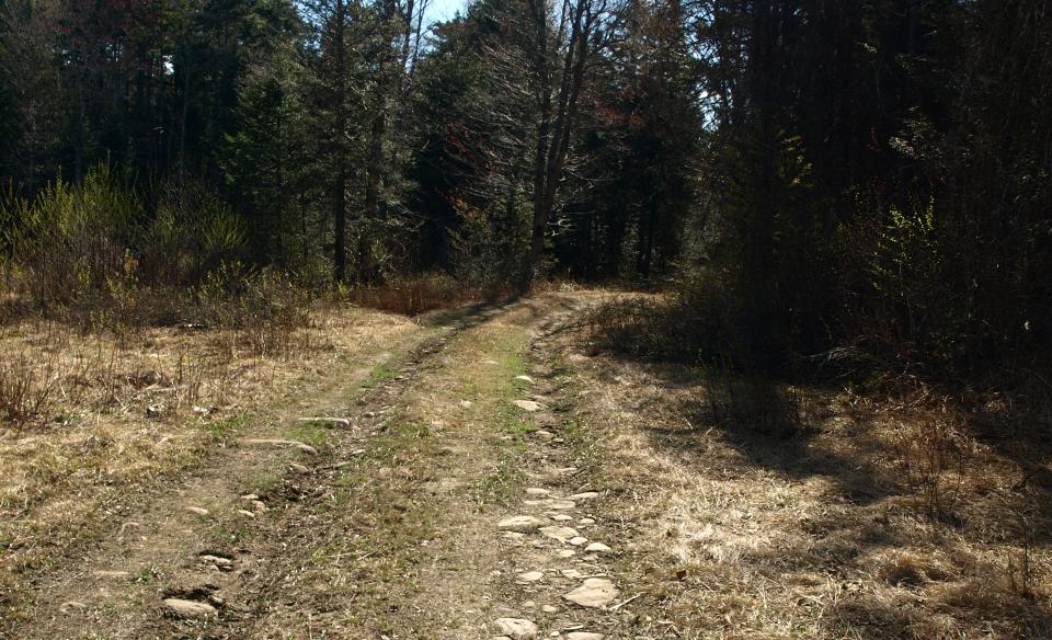 This old forest road starts a fine creek hike.