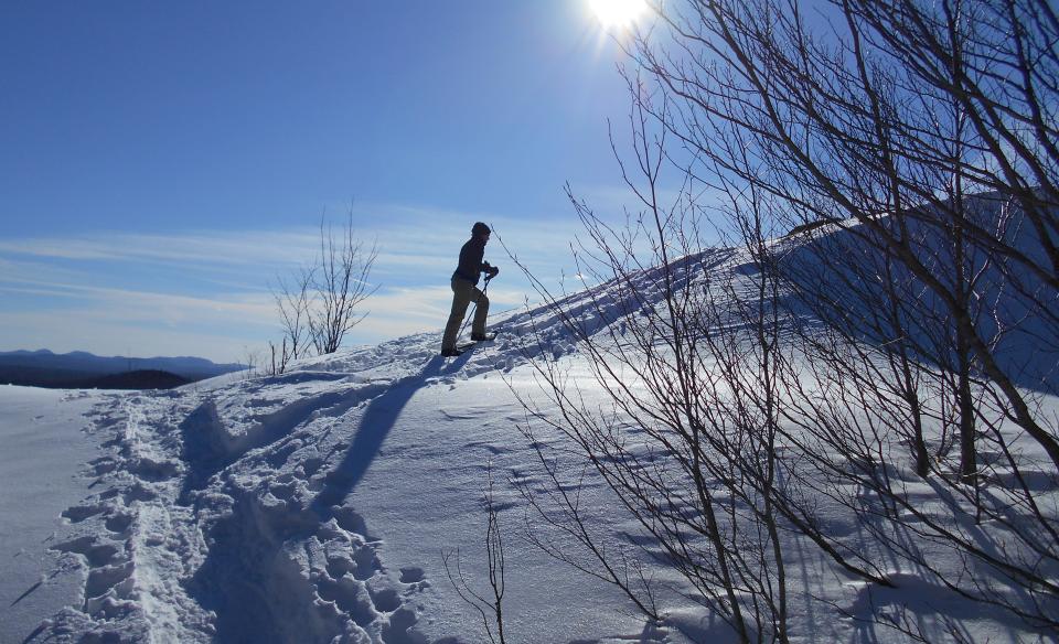 Goodman is a popular choice for snowshoes.