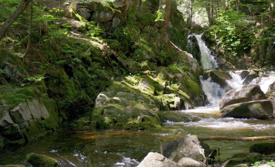 East Jimmy Creek Falls