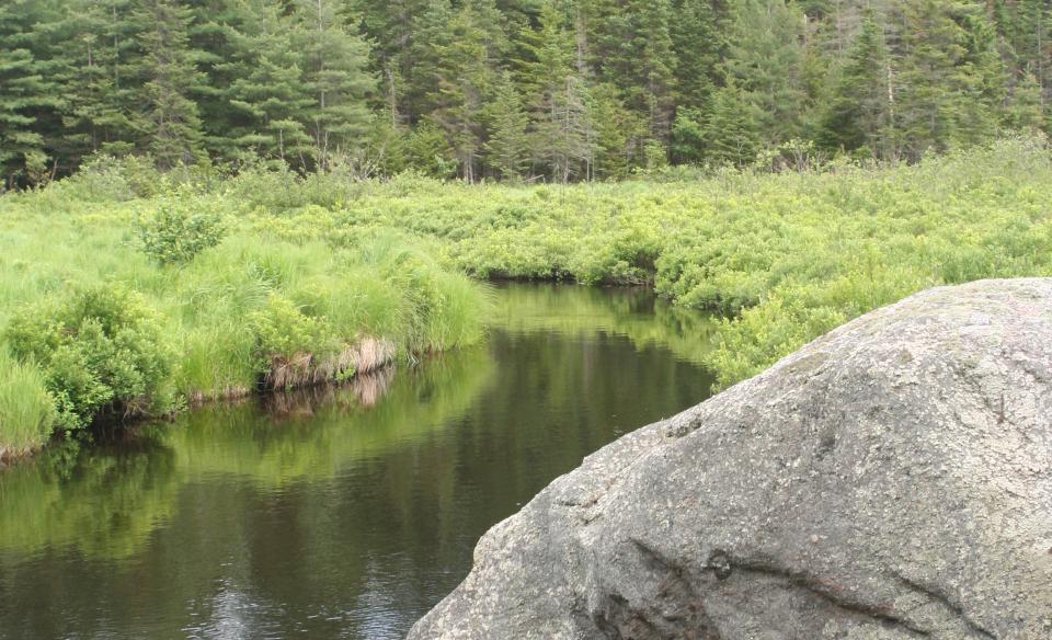 Abundant scenery for such a short hike.