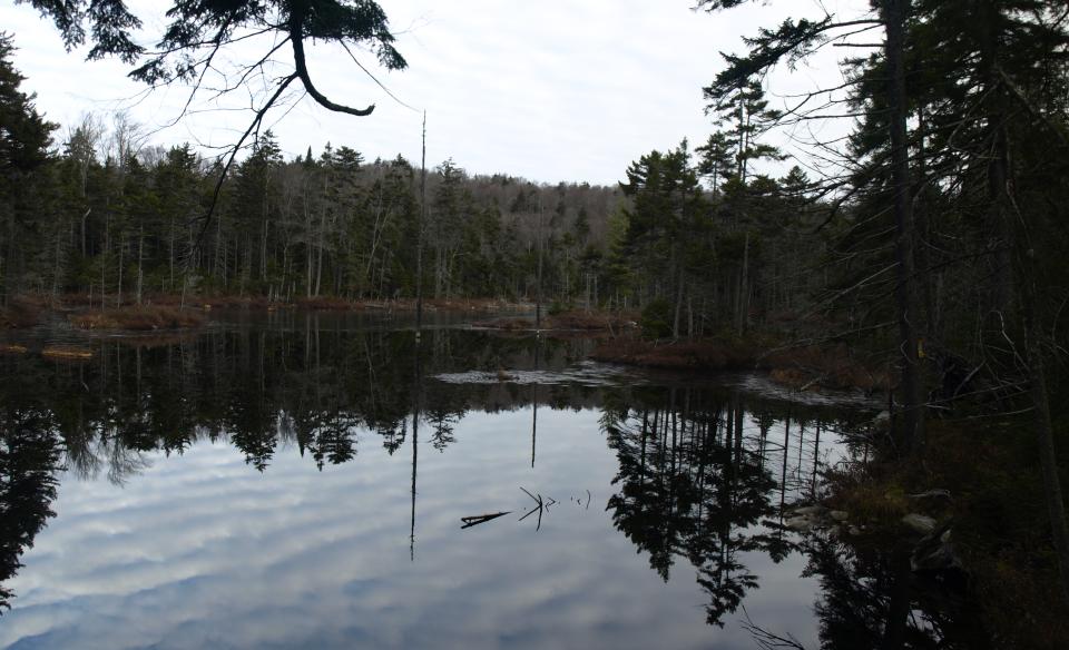 There's a leanto that is great for relaxing after the short