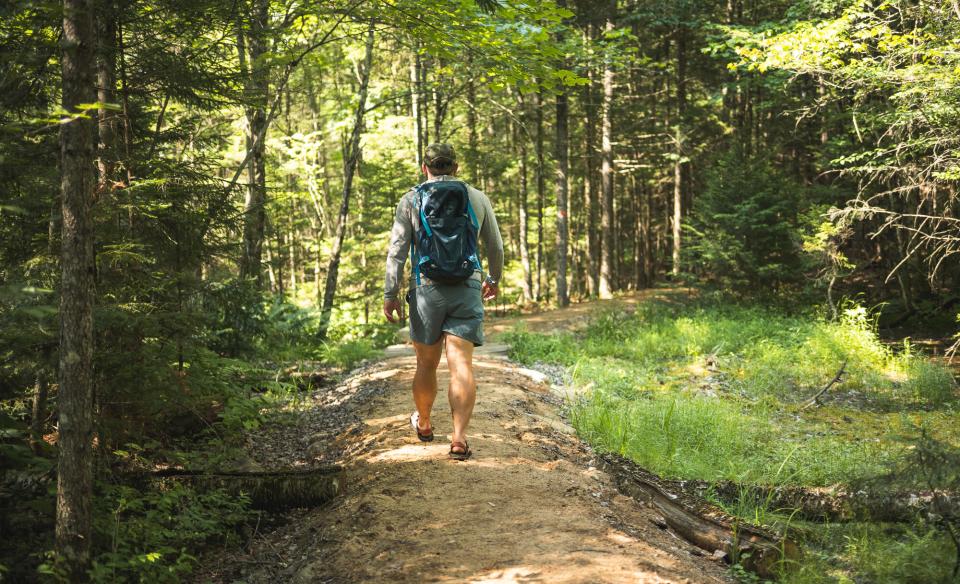Walking on an elevated trail