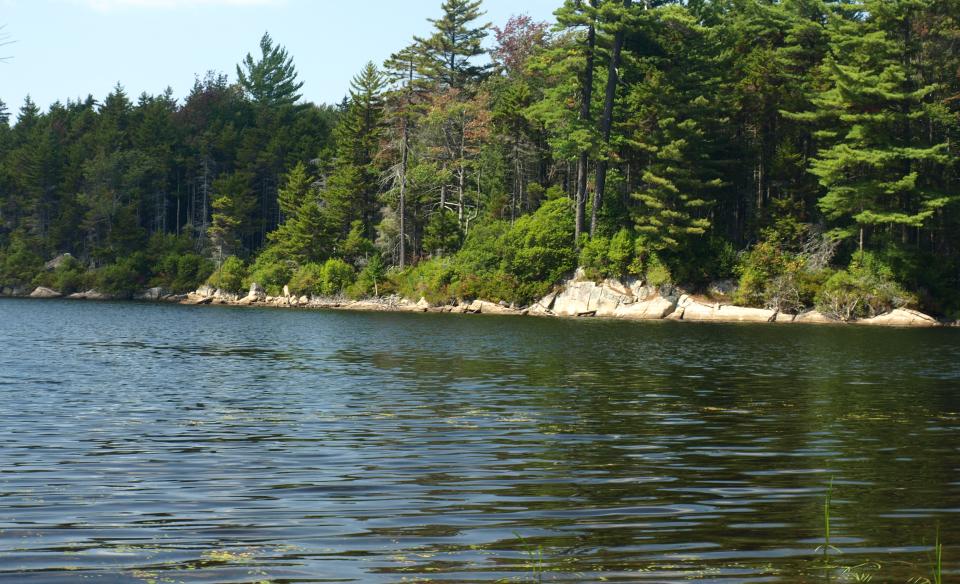 Squaw Lake has lots of shoreline to explore.