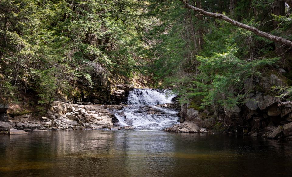 Image of tenant falls