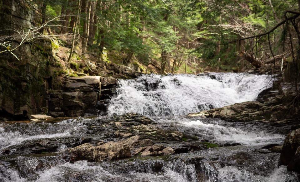 close up image of tenant falls