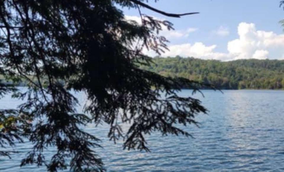 A view of Nine Corner Lake