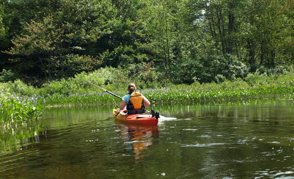 A kayaker in the shallows of The Kunjamuk
