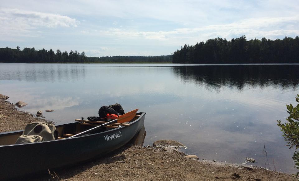 There's a number of ways to access this wildlife area for paddling and birding.