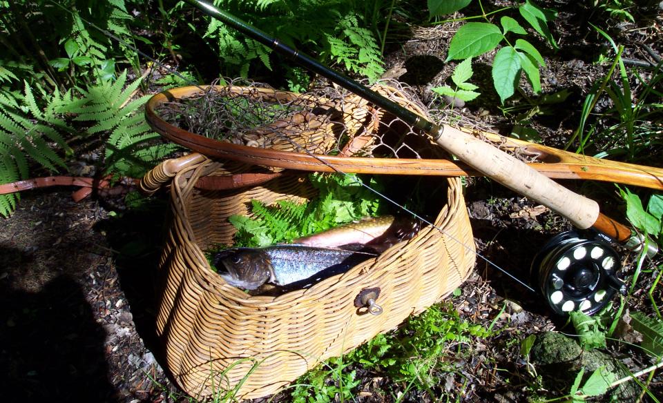 This remote Adirondack wilderness area is full of native fish.